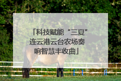 科技赋能“三夏” 连云港云台农场奏响智慧丰收曲