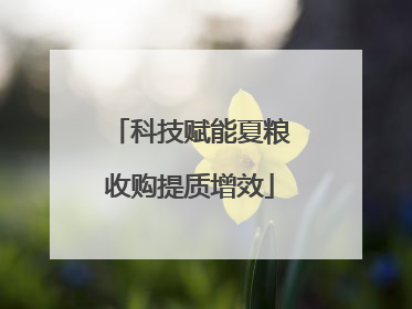 科技赋能夏粮收购提质增效