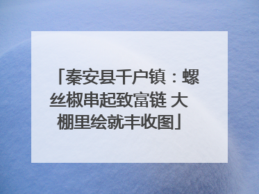 秦安县千户镇：螺丝椒串起致富链 大棚里绘就丰收图