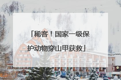 稀客！国家一级保护动物穿山甲获救