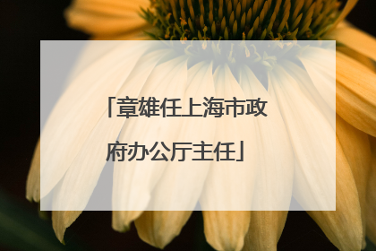 章雄任上海市政府办公厅主任