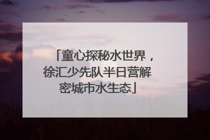 童心探秘水世界，徐汇少先队半日营解密城市水生态
