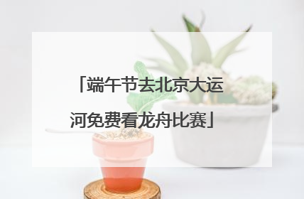 端午节去北京大运河免费看龙舟比赛