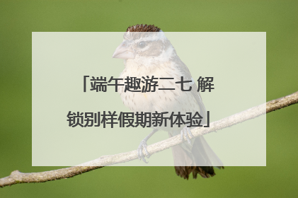 端午趣游二七 解锁别样假期新体验