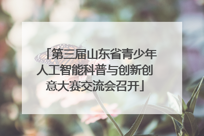 第三届山东省青少年人工智能科普与创新创意大赛交流会召开