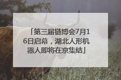 第三届链博会7月16日启幕，湖北人形机器人即将在京集结