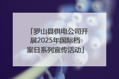 罗山县供电公司开展2025年国际档案日系列宣传活动