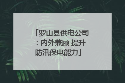 罗山县供电公司：内外兼顾 提升防汛保电能力