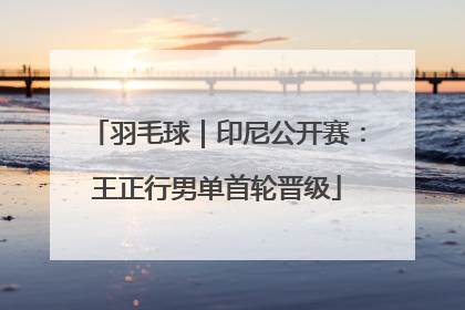 羽毛球｜印尼公开赛：王正行男单首轮晋级