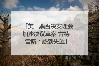 美一票否决安理会加沙决议草案 古特雷斯：感到失望