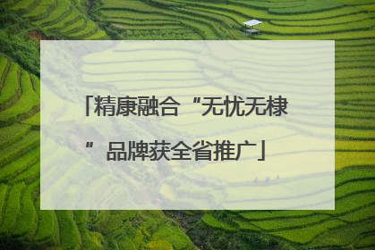 精康融合“无忧无棣”品牌获全省推广