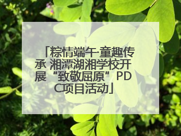粽情端午·童趣传承 湘潭湖湘学校开展“致敬屈原”PDC项目活动