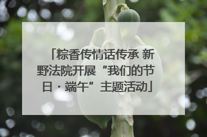 粽香传情话传承 新野法院开展“我们的节日・端午”主题活动