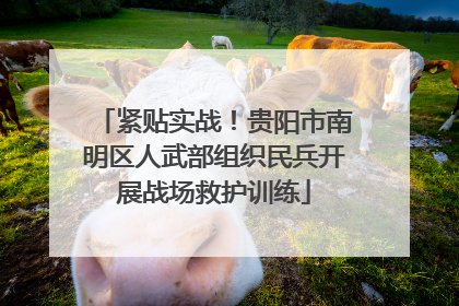 紧贴实战！贵阳市南明区人武部组织民兵开展战场救护训练