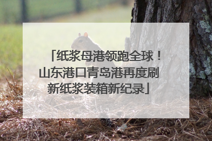 纸浆母港领跑全球！山东港口青岛港再度刷新纸浆装箱新纪录