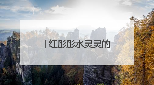红彤彤水灵灵的果子，在杭州街头大量成熟，看着诱人但能吃吗？