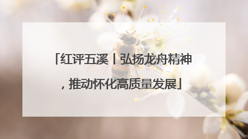 红评五溪丨弘扬龙舟精神，推动怀化高质量发展