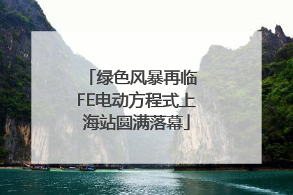 绿色风暴再临 FE电动方程式上海站圆满落幕