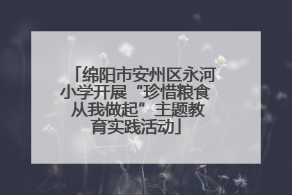 绵阳市安州区永河小学开展“珍惜粮食 从我做起”主题教育实践活动