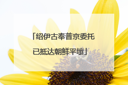 绍伊古奉普京委托已抵达朝鲜平壤