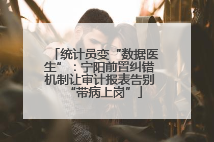 统计员变“数据医生”：宁阳前置纠错机制让审计报表告别“带病上岗”