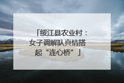 绥江县农业村：女子调解队真情搭起“连心桥”