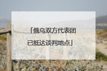 俄乌双方代表团已抵达谈判地点