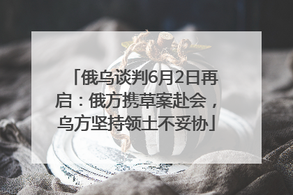 俄乌谈判6月2日再启：俄方携草案赴会，乌方坚持领土不妥协