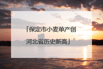 保定市小麦单产创河北省历史新高