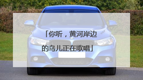 你听，黄河岸边的鸟儿正在歌唱