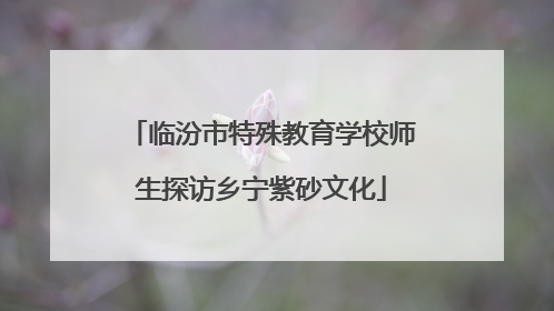 临汾市特殊教育学校师生探访乡宁紫砂文化