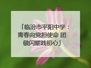 临汾市平阳中学：青春向党担使命 团徽闪耀践初心