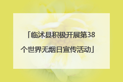 临沭县积极开展第38个世界无烟日宣传活动