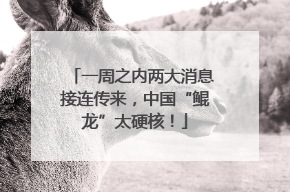一周之内两大消息接连传来，中国“鲲龙”太硬核！