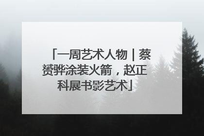 一周艺术人物｜蔡赟骅涂装火箭，赵正科展书影艺术
