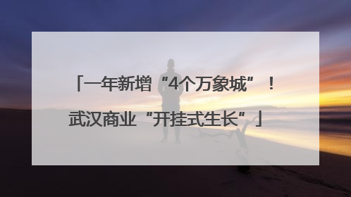 一年新增“4个万象城”！武汉商业“开挂式生长”