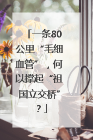一条80公里“毛细血管”，何以撑起“祖国立交桥”？