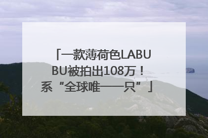 一款薄荷色LABUBU被拍出108万！系“全球唯一一只”