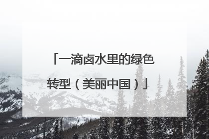 一滴卤水里的绿色转型（美丽中国）