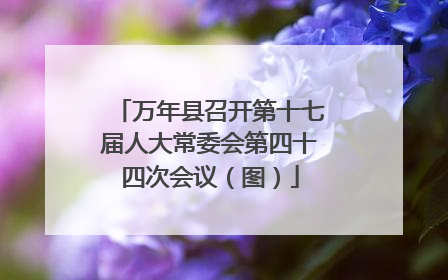 万年县召开第十七届人大常委会第四十四次会议（图）