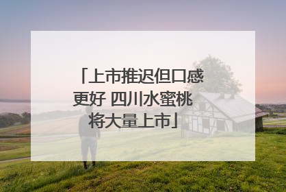 上市推迟但口感更好 四川水蜜桃将大量上市
