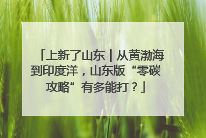 上新了山东｜从黄渤海到印度洋，山东版“零碳攻略”有多能打？