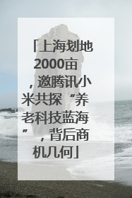 上海划地2000亩，邀腾讯小米共探“养老科技蓝海”，背后商机几何