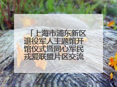 上海市浦东新区退役军人主题馆开馆仪式暨同心军民戎爱联盟片区交流会举行