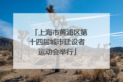 上海市黄浦区第十四届城市建设者运动会举行