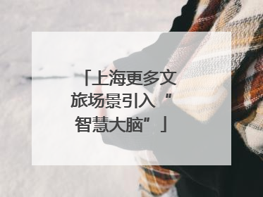 上海更多文旅场景引入“智慧大脑”