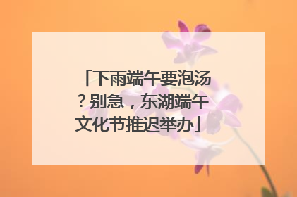 下雨端午要泡汤？别急，东湖端午文化节推迟举办