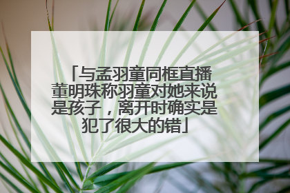 与孟羽童同框直播 董明珠称羽童对她来说是孩子，离开时确实是犯了很大的错