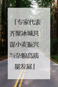 专家代表齐聚冰城共谋小麦振兴与杂粮高质量发展