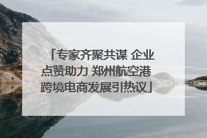 专家齐聚共谋 企业点赞助力 郑州航空港跨境电商发展引热议